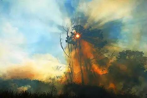 Embedded image permalink