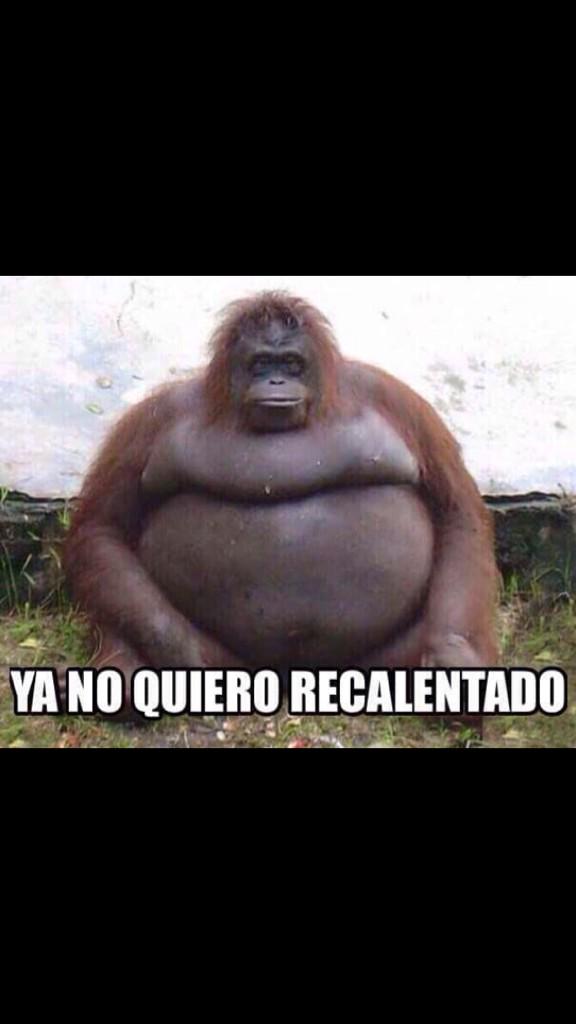 macariagt's tweet photo. Querido Diciembre: porfa acábate ya🐷🐽 http://t.co/EFY4XsQzH9