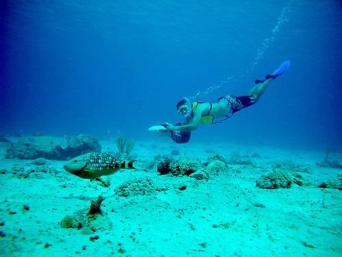 AndremxDFans's tweet photo. A @SantiMxOficial le encanta #snorkelear cuando va a la playa! 😊🌅 http://t.co/Rj5uDqfXiX