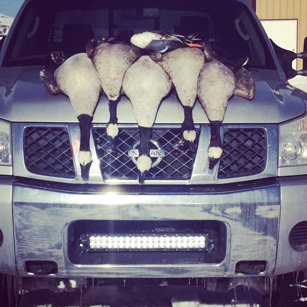 The Back Country Team lit them up today! #geese #ledlights #led #utah #lightbar #waterfowl #titan #nissan #truck