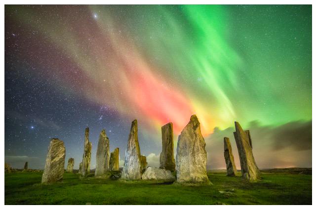 vida_ying_yang's tweet image. 