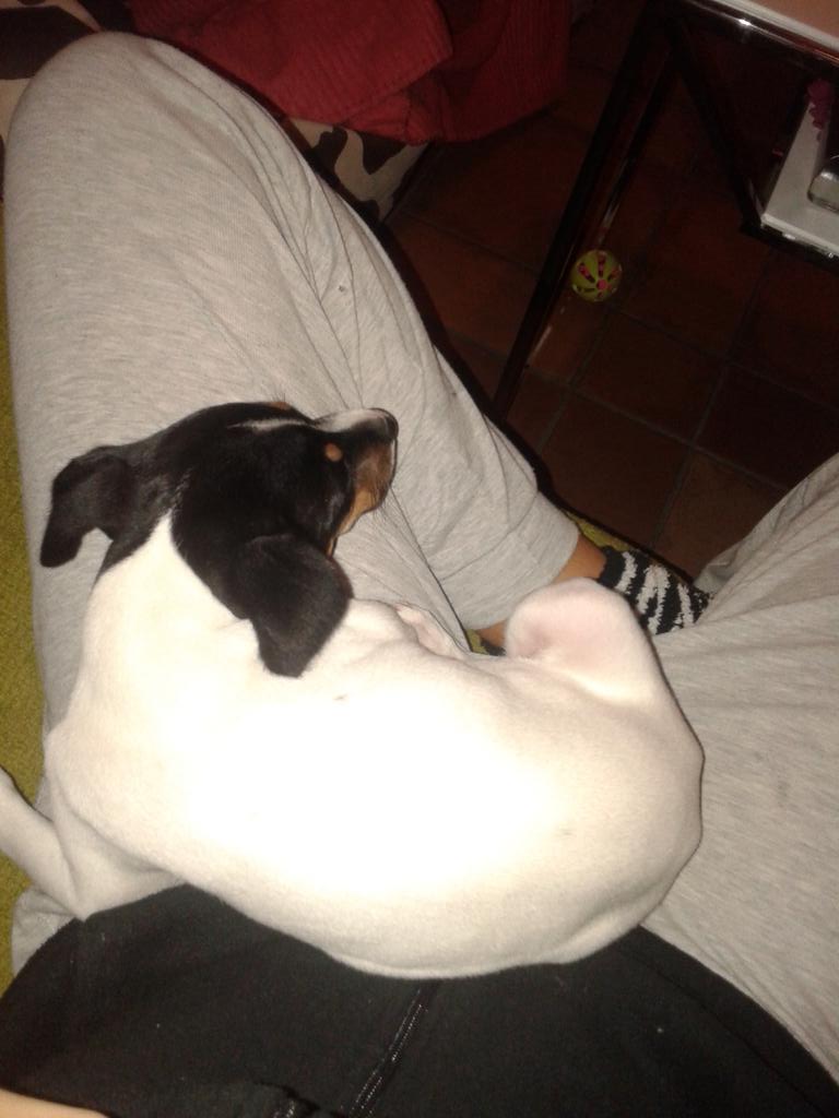 Sólo la gusta estar encima de mami acurrucada :)