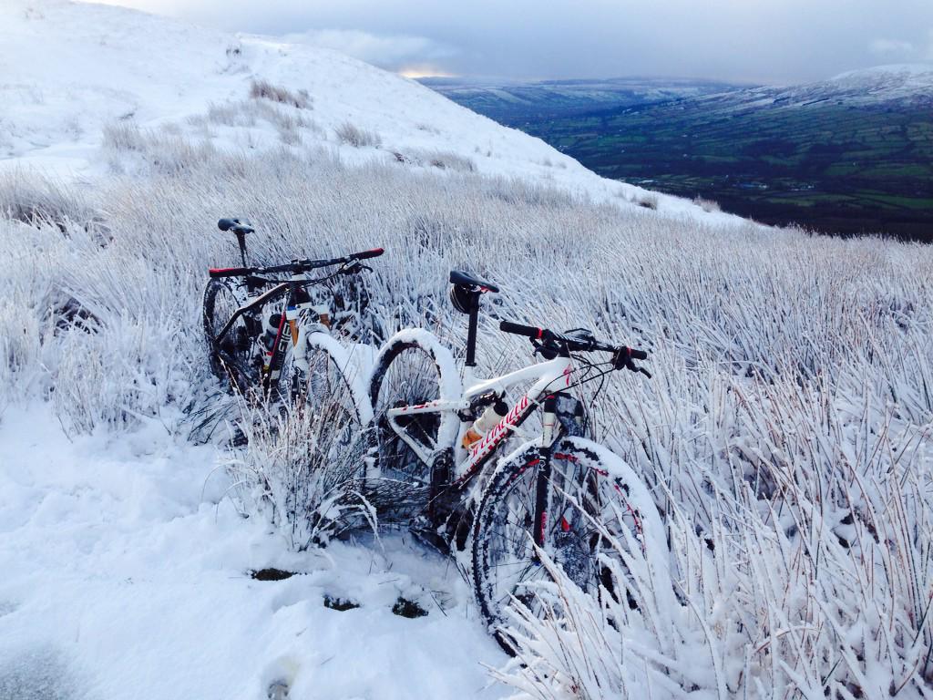 Tommy McElwee tweet media