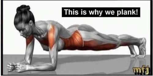 BestProFitness's tweet photo. This is why we plank http://t.co/DW6mK8mnCt