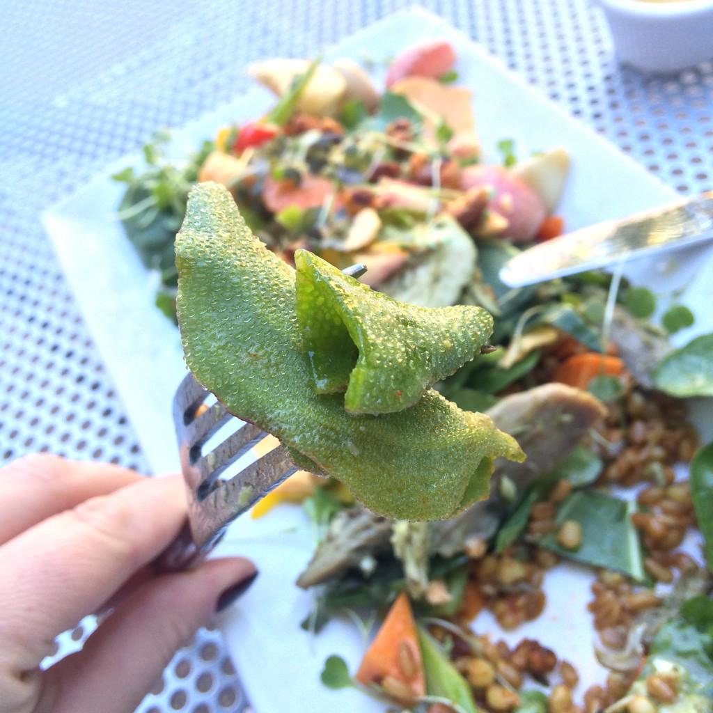 laurenthepotter's tweet photo. Glacier lettuce from #TwoWashRanch in the Local AZ salad today at @MIMcafeallegro, so tender, mild flavor. @MIMphx http://t.co/jbt52Kvpjt