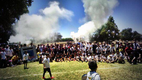 Colo Colo de Todos tweet media