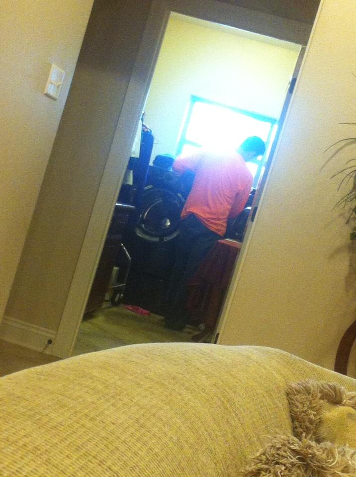 emilyloidwilkins tweet media