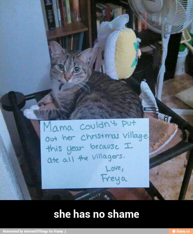 EddyMackenzie's tweet photo. Kitty's http://t.co/FqZ0GCHa26