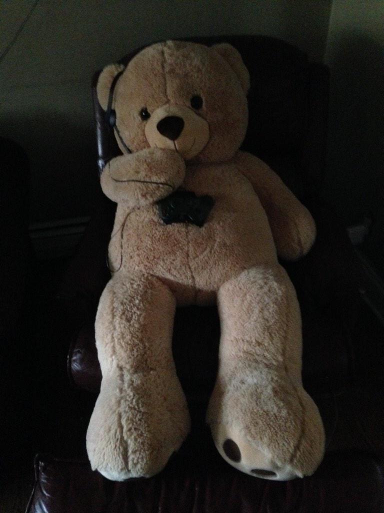 CarlIsABear's tweet photo. Spending this Saturday doing the raid #BearLife #Destiny http://t.co/p3TLzFrRfb