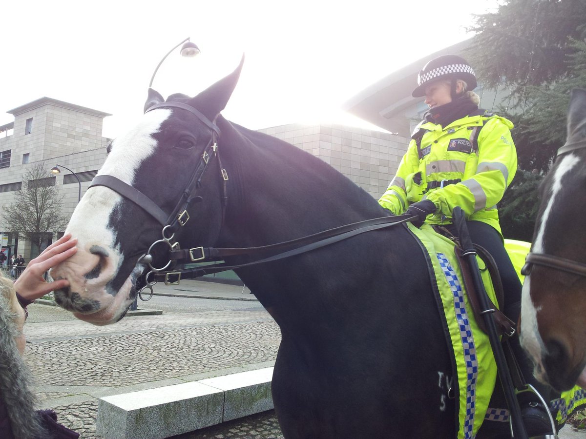 jdbw13's tweet photo. Caesar at CMK today. http://t.co/cM3zPzsmuT