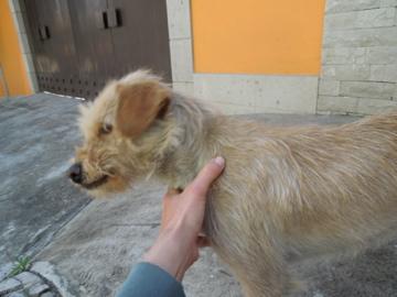 ericksoman's tweet photo. encontrada en Lomas de Tarango http://t.co/uDiHcYFcwJ