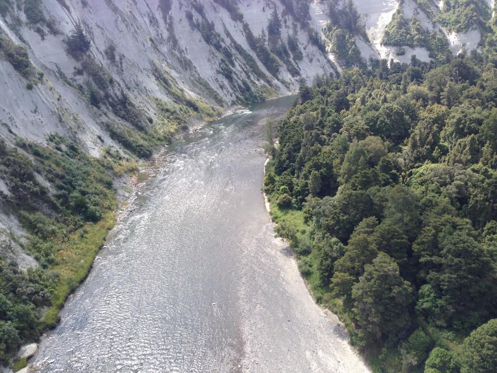 frau_foxwhelp's tweet image. More pics from the #northernexplorer #kiwirail