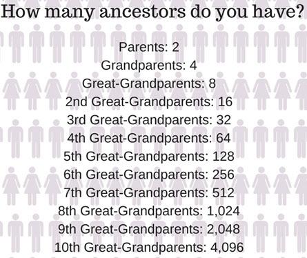 How Many Ancestors Do I Have? Connect with Family
