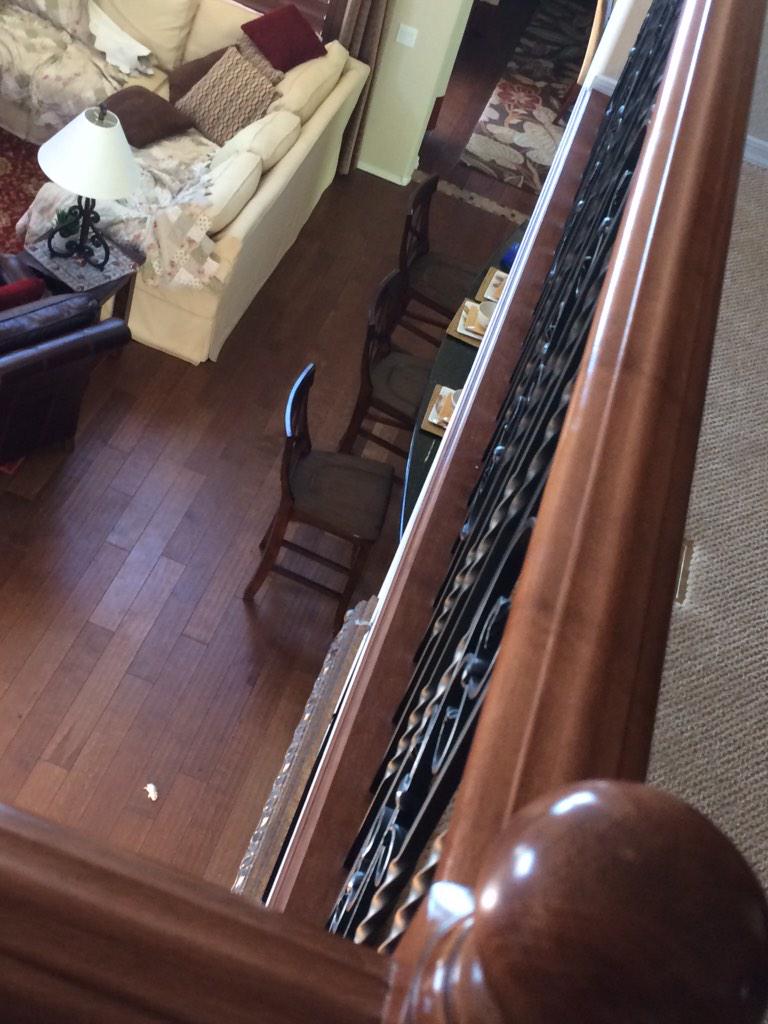 tinnaweenna's tweet photo. that moment my hamster jumps off the 2nd story balcony 😁 http://t.co/3E3KwDLCj8