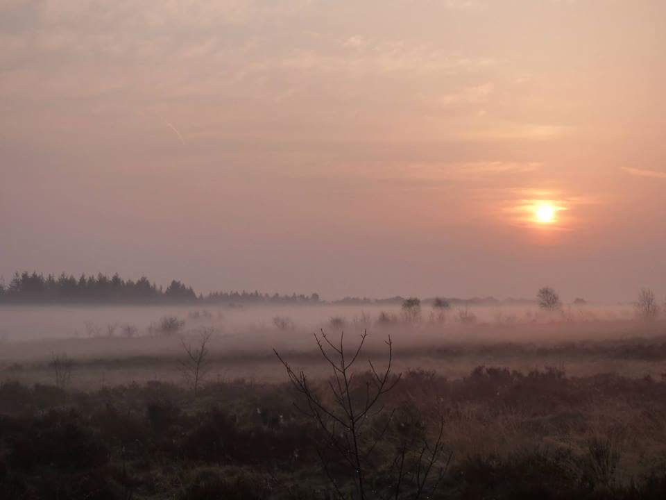 telpostdrieberg's tweet photo. Wat een prachtig #uitzicht hebben we toch vanaf de telpost! http://t.co/zY7WvMxW2n