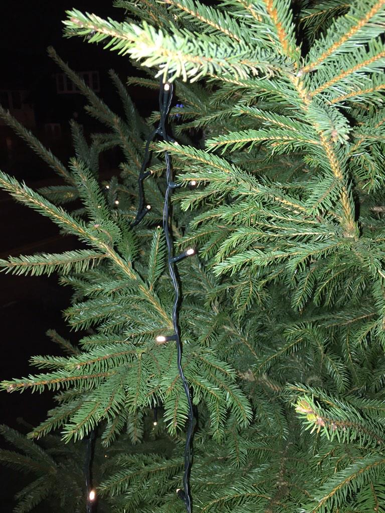 CliveEwell's tweet photo. “@xmastreeewell: Thank you for putting some money in the meter I'm all lit up again http://t.co/eLeGNXwvj4” thank Brian Angus!