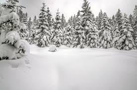 Rock101Van's tweet photo. Local ski hills got 15 cms of snow last night. THANK GAWD. @Cypressmtn @grousemountain @Mt_Seymour #letsgetupthere. http://t.co/wIiqgaJ0p5