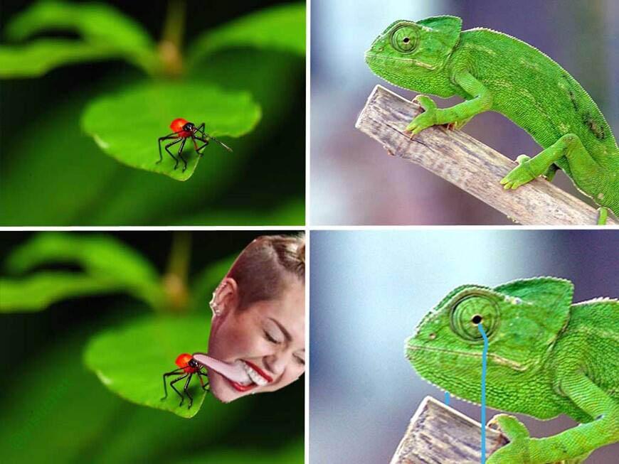 rt si yoraste fuerte x el final inesperado