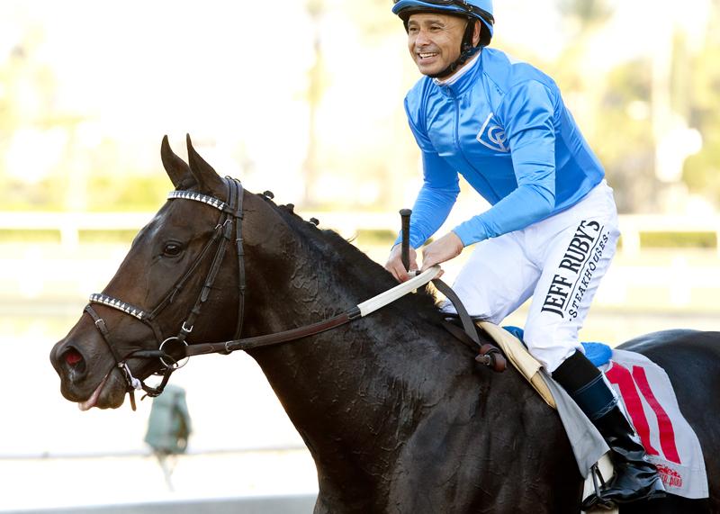 SAPublicity's tweet photo. Bolo &amp; Mike Smith take the Eddie Logan Stakes for trainer Carla Gaines &amp; owner Golden Pegasus Racing @santaanitapark http://t.co/tfE8Xs9Otu