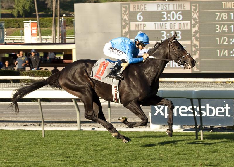 SAPublicity's tweet photo. Bolo &amp; Mike Smith take the Eddie Logan Stakes for trainer Carla Gaines &amp; owner Golden Pegasus Racing @santaanitapark http://t.co/tfE8Xs9Otu