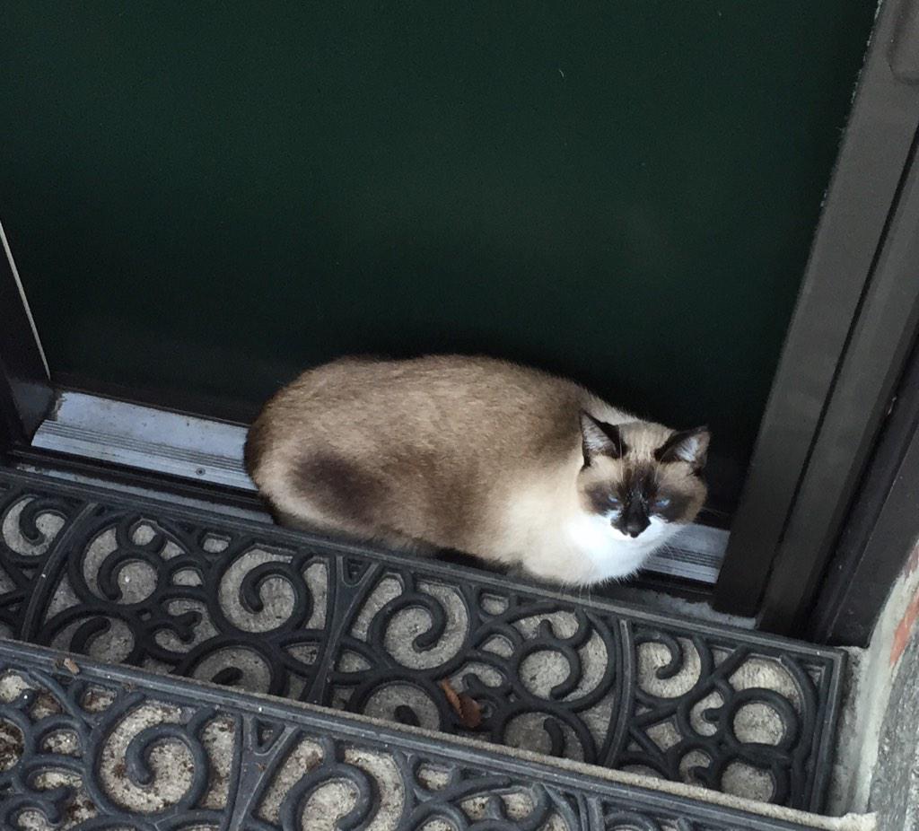 chris page tweet media