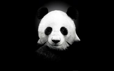 DJSK_SA's tweet photo. Frank Ocean - Novacane(Official Music Video) #Panda http://t.co/0FLBdyKkxs