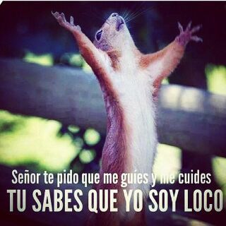 ilusionad0's tweet photo. Yo, rezando jajajajaja http://t.co/y04j3RjjFz