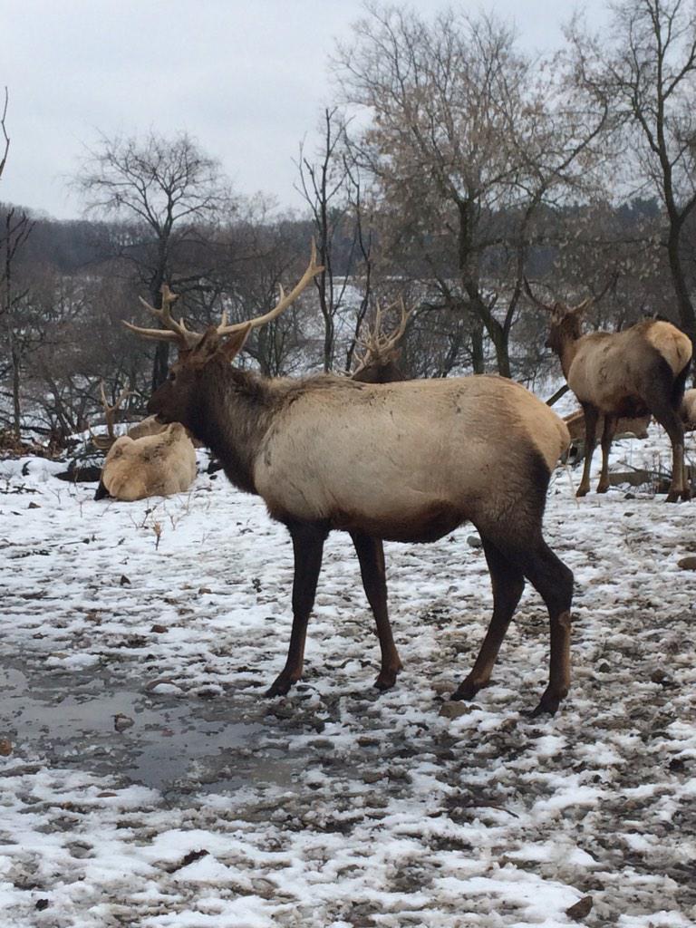 Barchambo's tweet image. #SeeForYouself and #TNFContest