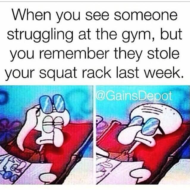 SearchGym tweet picture