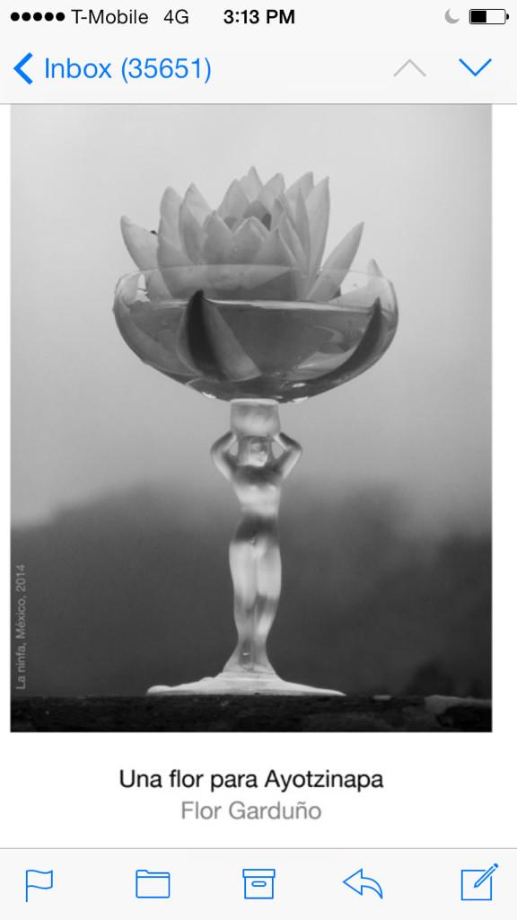 توییتر \ Denise Dresser در توییتر: «Comparto regalo de mi amiga, la extraordinaria fotógrafa Flor Garduño: توییتر \ Denise Dresser در توییتر: «Comparto regalo de mi amiga, la extraordinaria fotógrafa Flor Garduño:
