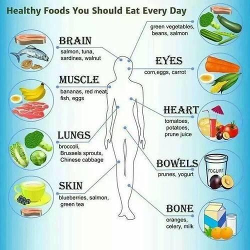 WorkoutHelp's tweet photo. Things you should eat every day http://t.co/R5PQ7D86hb
