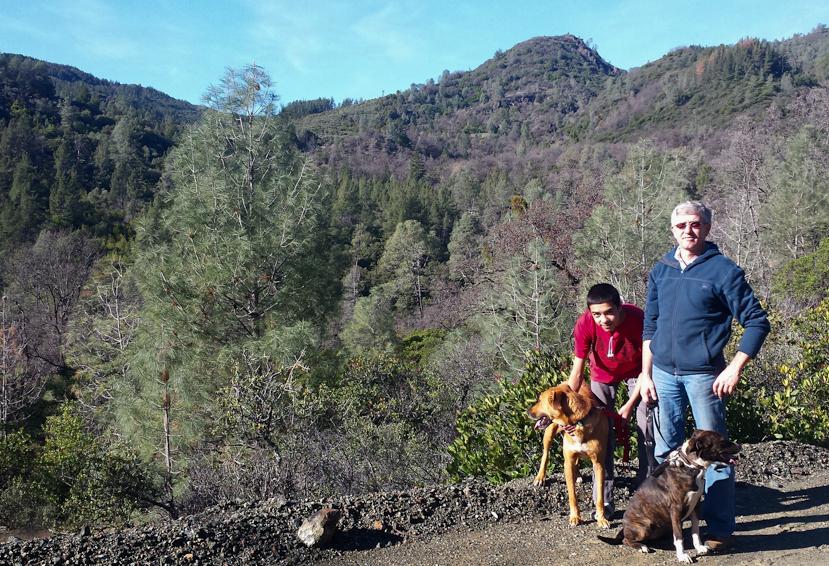 plangardengal's tweet photo. Cough has turned to a cold but I'm fighting it with my hiking buddies. Views of the Mayacamas off Dry Creek Rd. http://t.co/uotcMy9zrh