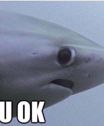loIthatstrue's tweet photo. when someone is crying and you're just their like http://t.co/7XO1ZIkvhy