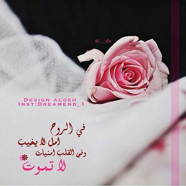 3yoosh105's tweet photo. http://t.co/7jabD4kmL4