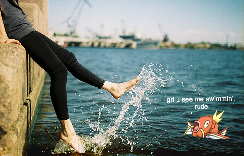 FunnyPokemon's tweet image. 