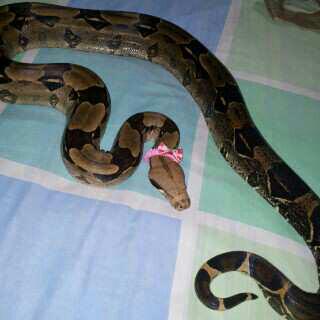 Kayucoelflow's tweet photo. @BaroniOneTime http://t.co/P1nMikd0By