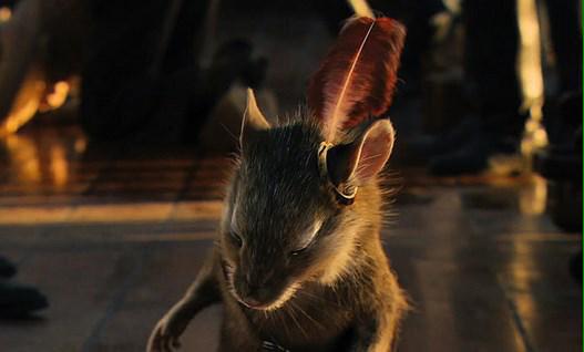 I bow to you, my king. <a href="/King_of_Narnia_/">Aslan</a>