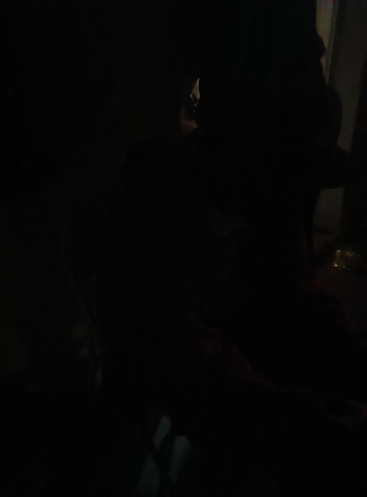 VLdee's tweet image. Got black out here rolling up🍇💨💨