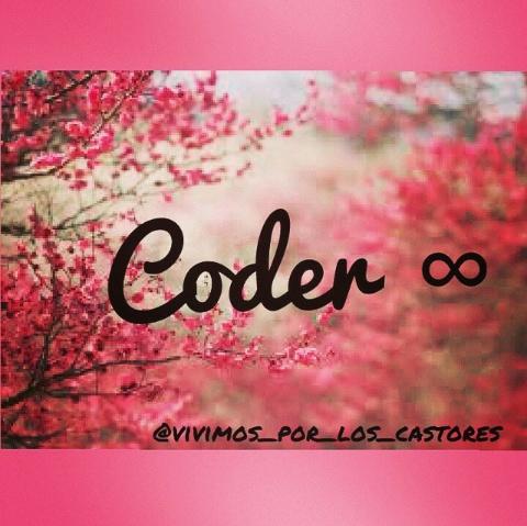 RaquelMoraleser's tweet image. #coderforever.