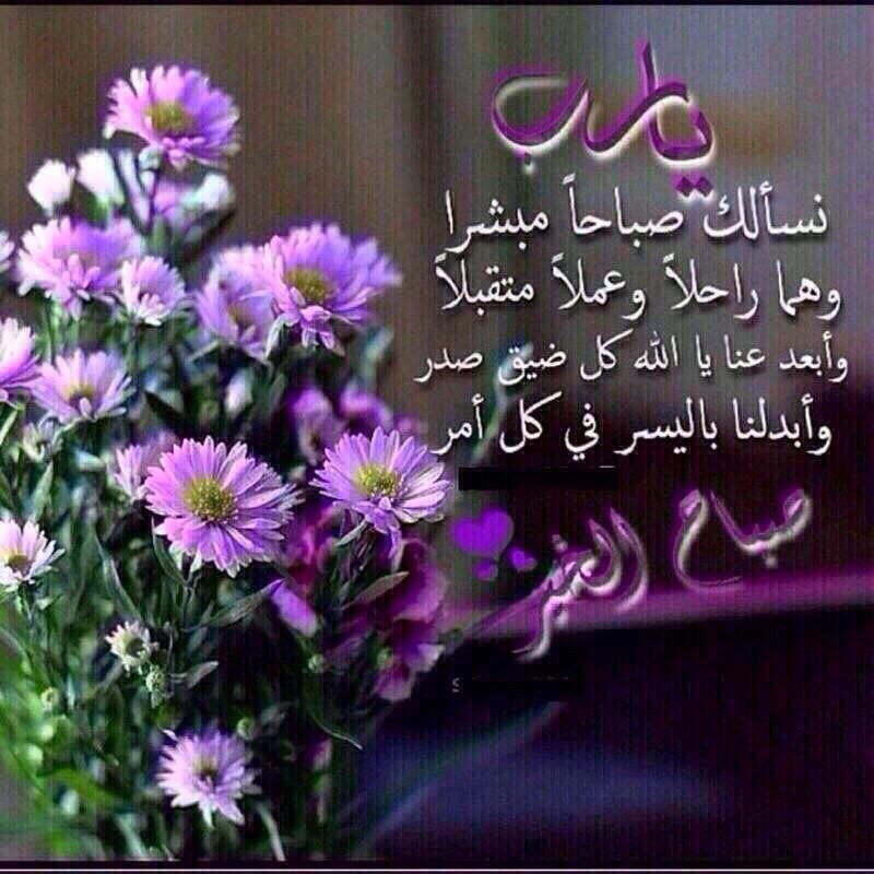 8hayea's tweet photo. @RoHussein http://t.co/KW4bjDurFL