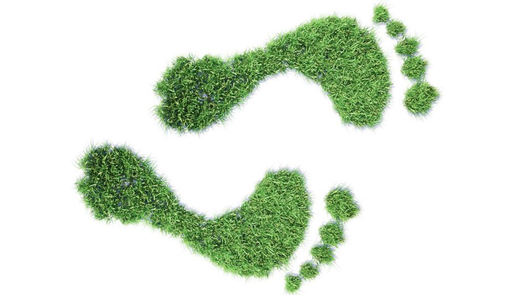 Permalien de l'image intégrée