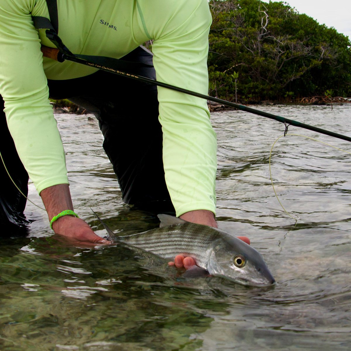 BlairLozza's tweet photo. Loved my @TFORods BVK on my #belize trip. Didn't see it in this pic. #tforods #bonefish http://t.co/tj2NVHQ30R http://t.co/k2EiSmsoaC