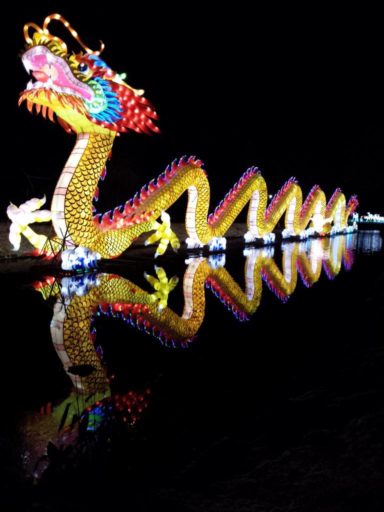 Enrico030's tweet photo. #Chinalight030 in #Utrecht was prachtig!! Echt een aanrader 👍 http://t.co/glkju1fPUi