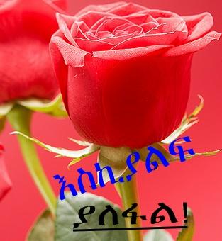moriamrak123's tweet photo. @SaadiSeedi http://t.co/E6W6aJMQdl