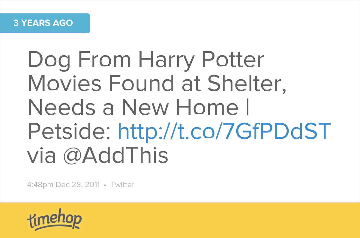 awwww i wonder if Padfoot found his forever home xx timehop.com/c/t:1520684075…