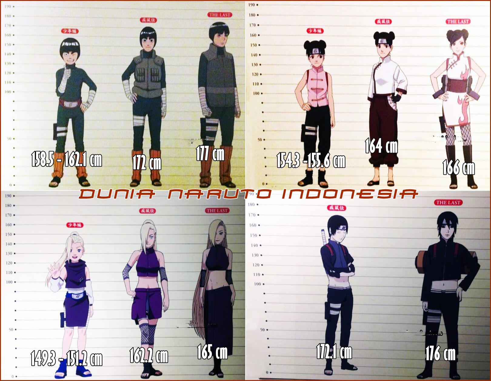 HEIGHTS OF NARUTO SHIPPUDEN CHARACTERS - HEIGHT COMPARISON OF ALL NARUTO  CHARACTERS 