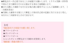 Orasマスターボール入手方法まとめ ポケモン対戦初心者 Blog