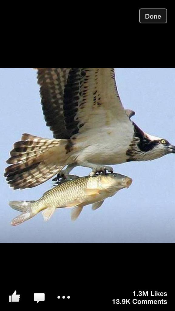 lad_jitendra's tweet image. 