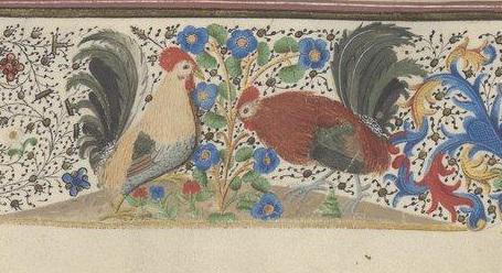 Zweder_Masters's tweet photo. Roosters!!!! #roosterday oh no, #dailyrooster http://t.co/iJHVbaQxT2