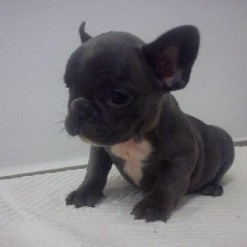 attackcntitcn's tweet image. @endlcsslyluke chuuuuuuuu